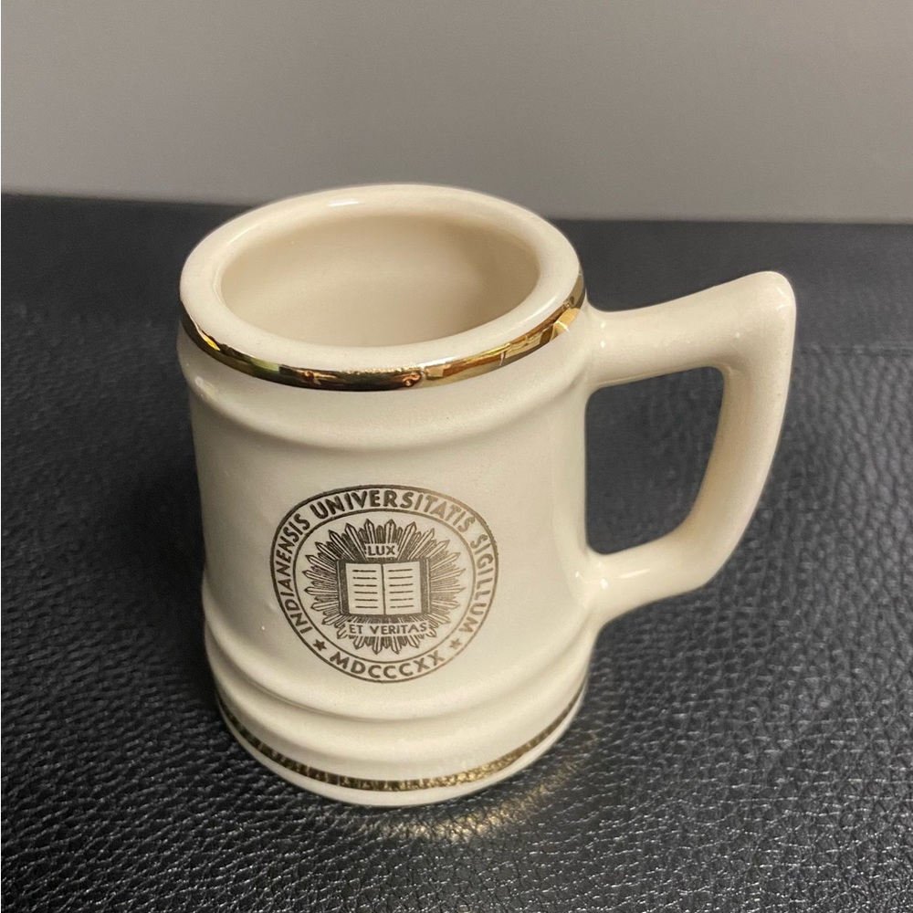 Vintage W.C. Bunting academic miniature stein shot glass.  Like new.